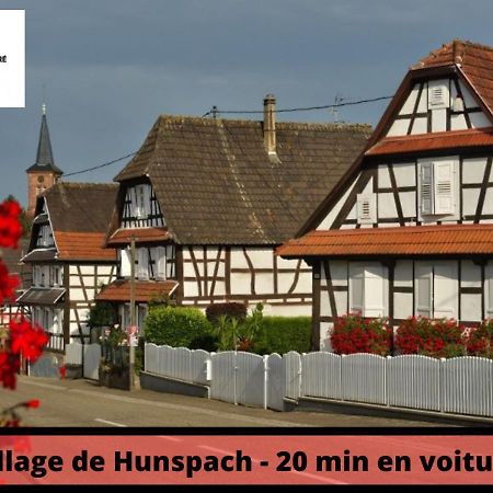 Duplex - Le Cosy - Hyper Centre Haguenau Exterior foto